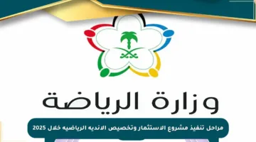 مراحل تنفيذ مشروع الاستثمار وتخصيص الأندية الرياضية خلال 2025
